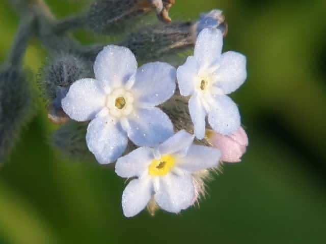 �m�n�������T�L