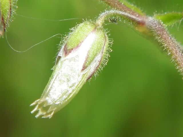 �~�~�i�O�T