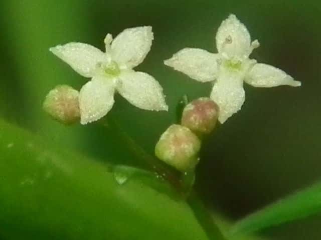 ���}���O��