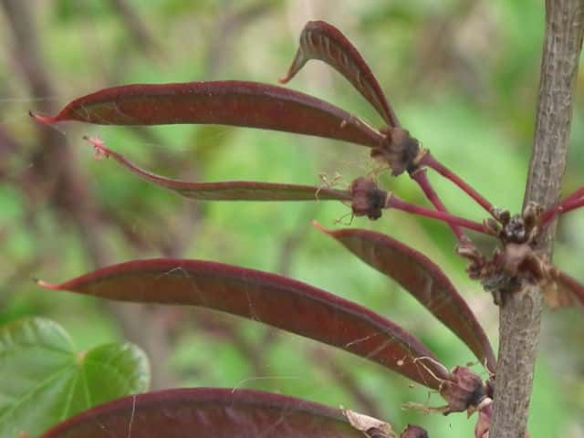 �n�i�Y�I�E