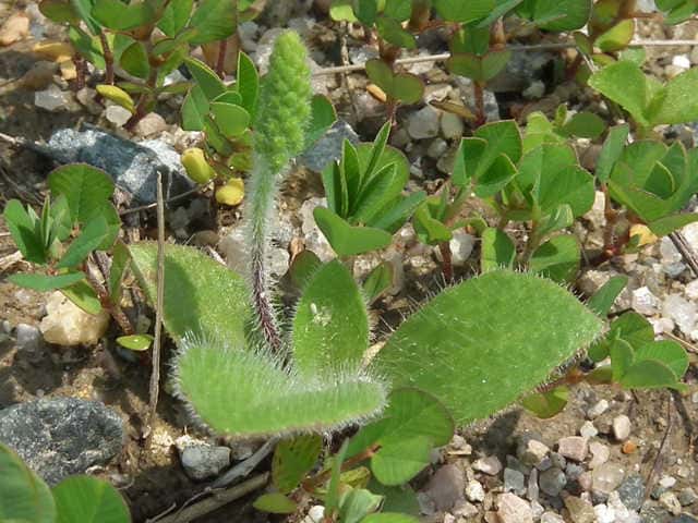 �c�{�~�I�I�o�R