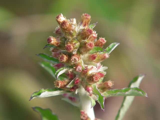 �E�X�x�j�`�`�R�O�T