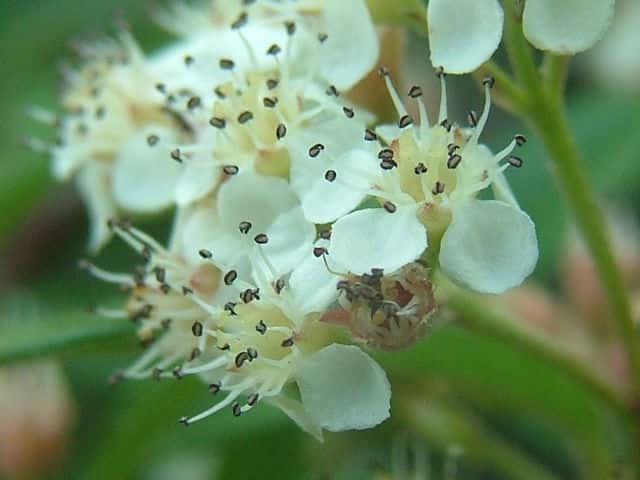 ���i�M�o�V�������g�E