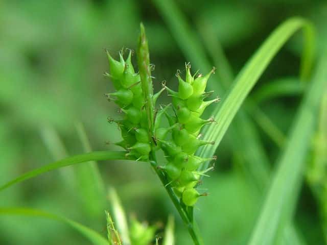 �������X�Q