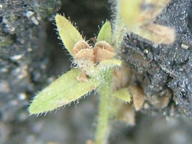 �^�`�C�k�m�t�O��