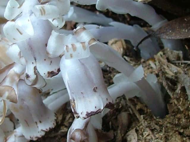 �M�������E�\�E