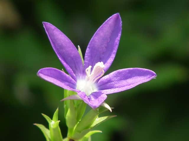 �q�i�L�L���E�\�E