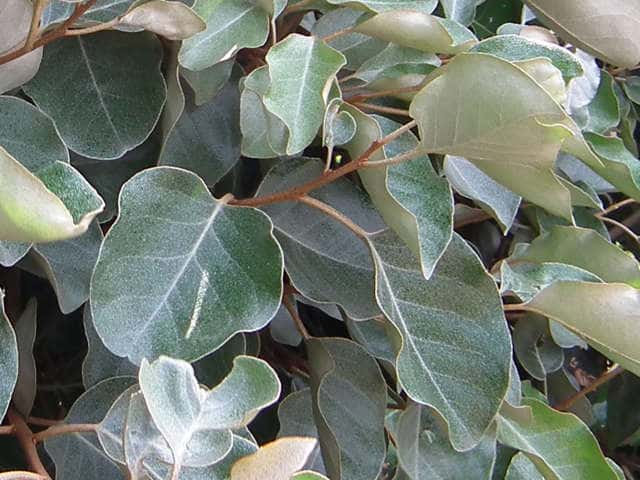 �I�I�o�O�~