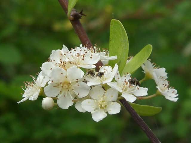 �g�L���T���U�V