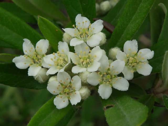 �^�`�o�i���h�L