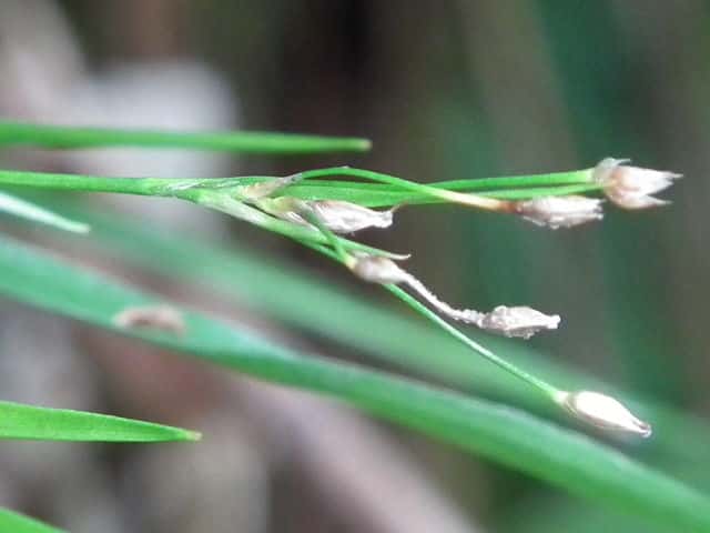 �k�J�{�V�\�E