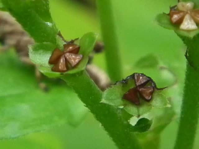 �~�Y�^�r���R