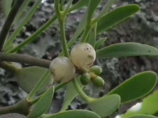 ���h���M