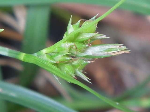 �C�\�A�I�X�Q