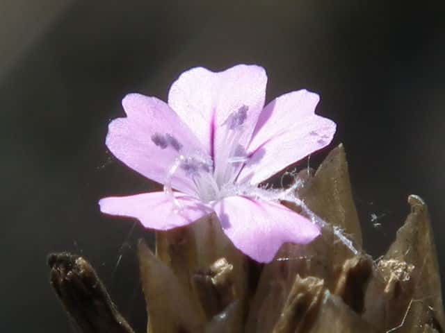 �~�`�o�^�i�f�V�R