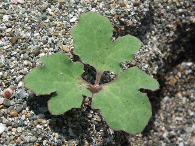 �n�}�j�K�i