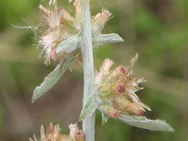 �`�`�R�O�T���h�L