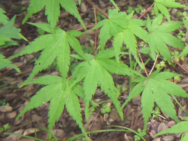 ���}���~�W