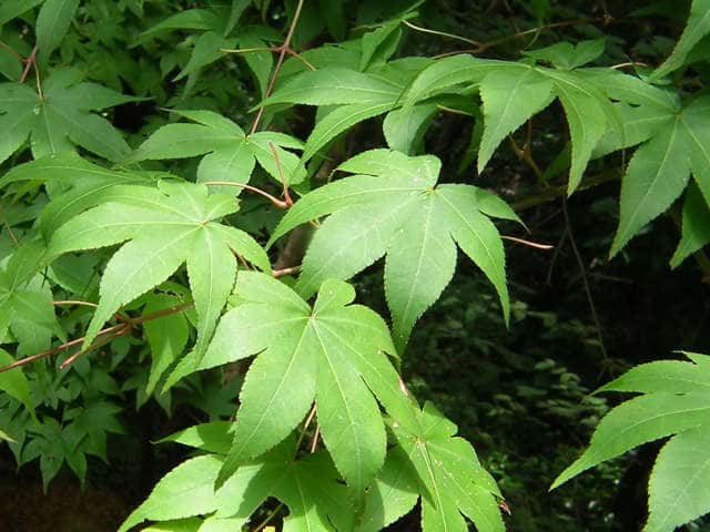 �I�I���~�W