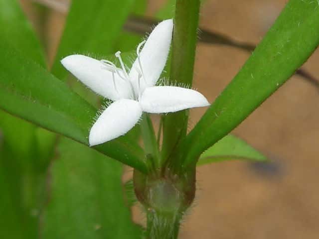 �����P�����O��