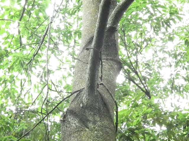 �^�}�~�Y�L