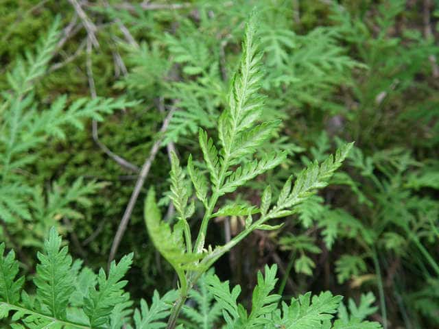 �C�������M