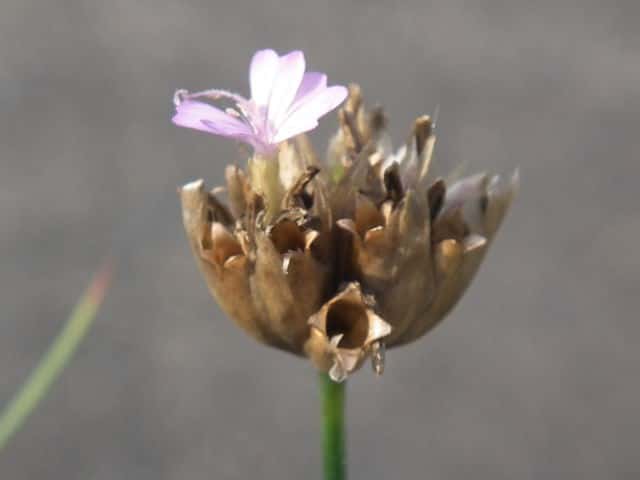 �~�`�o�^�i�f�V�R