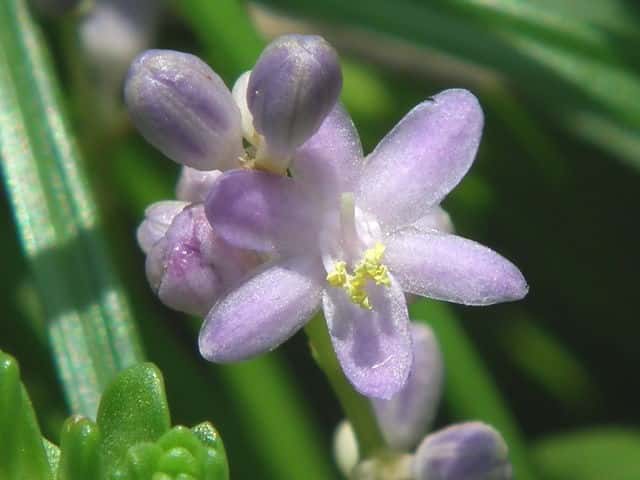 �q�����u����