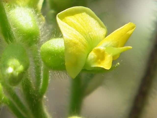 �^���L���}��