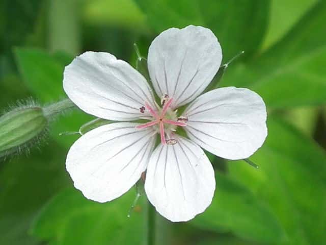 �Q���m�V���E�R