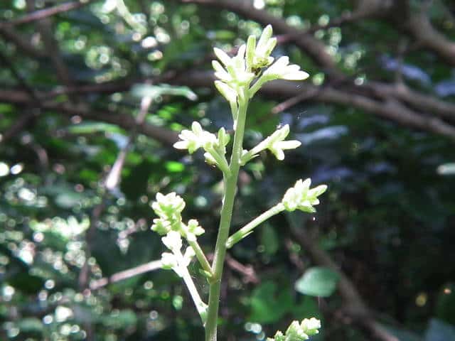 ���~�W�K�T