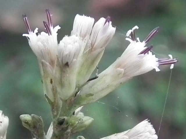 ���u���K�T