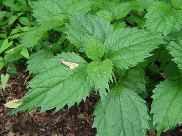 �����u�}�I