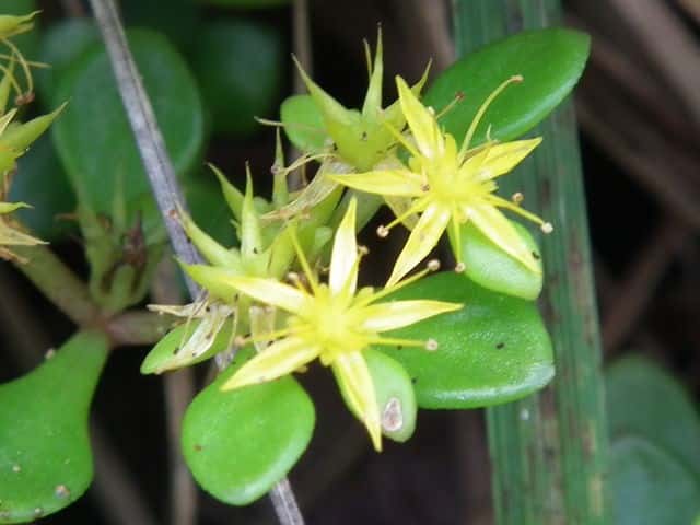 �}���o�}���l���O�T