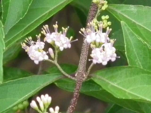 �R�����T�L