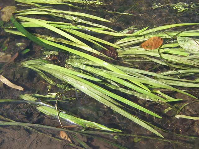 �i�K�G�~�N��