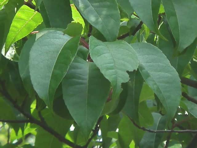 �^�}�~�Y�L