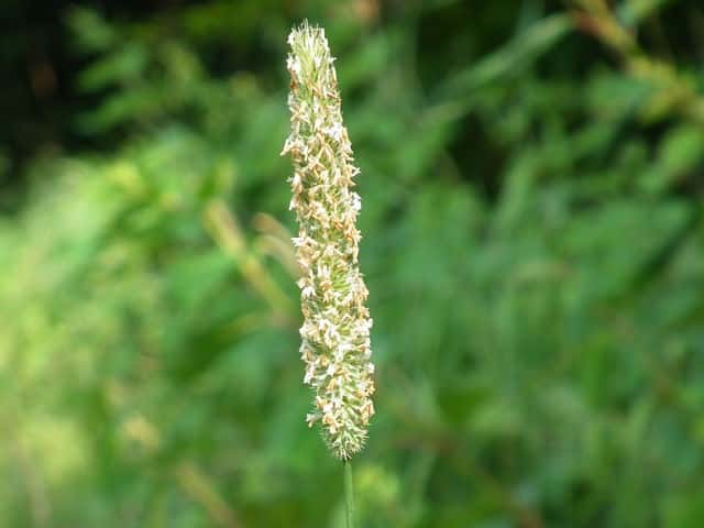 �I�I�A���K�G��