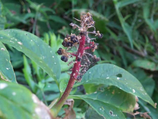 �}���~�m���}�S�{�E