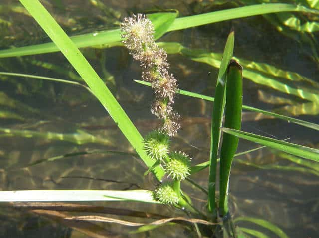 �i�K�G�~�N��