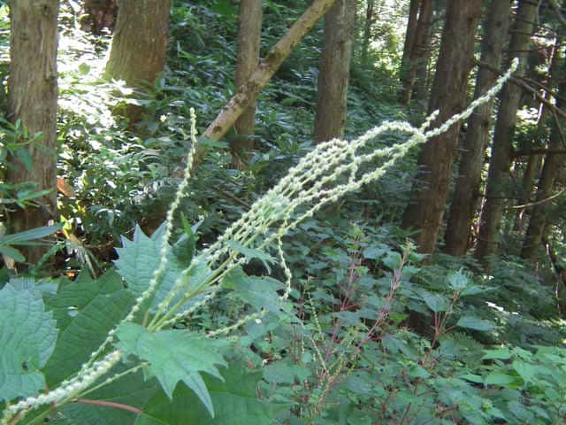 �����u�}�I