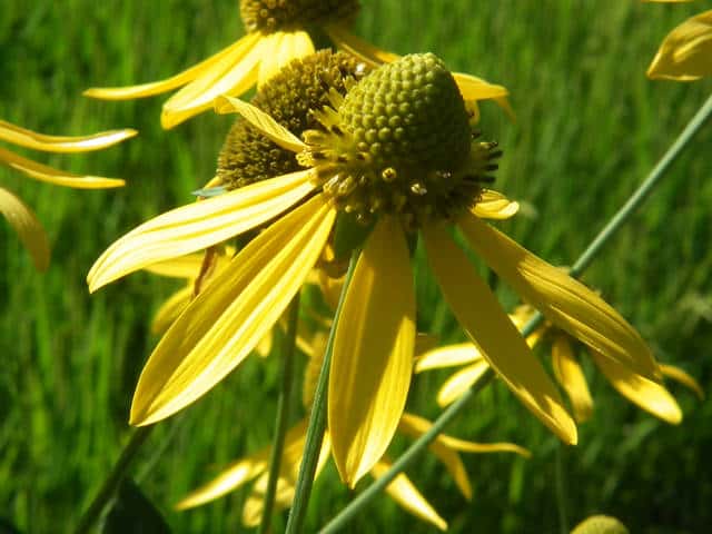 �I�I�n���S���\�E