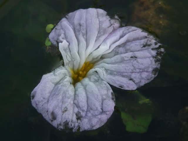 �~�Y�I�I�o�R