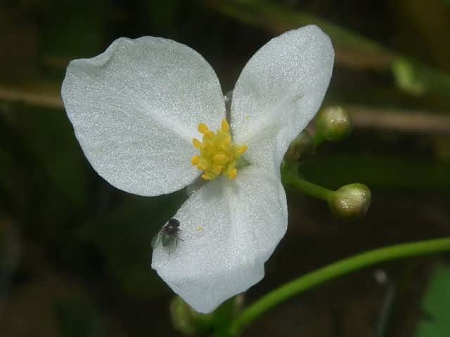 �E���J��