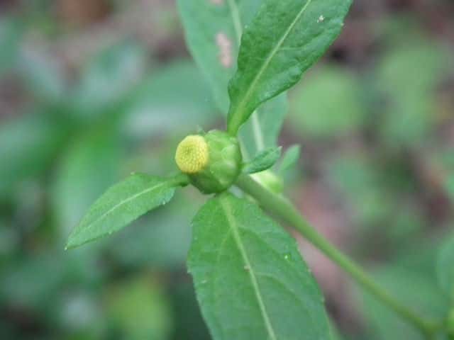 �K���N�r�\�E