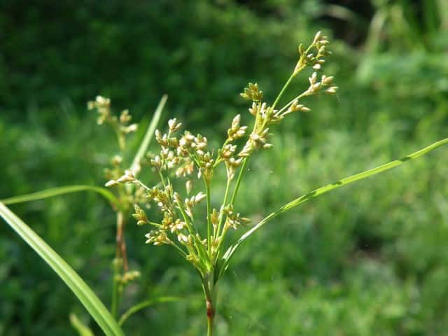 �A�u���K��