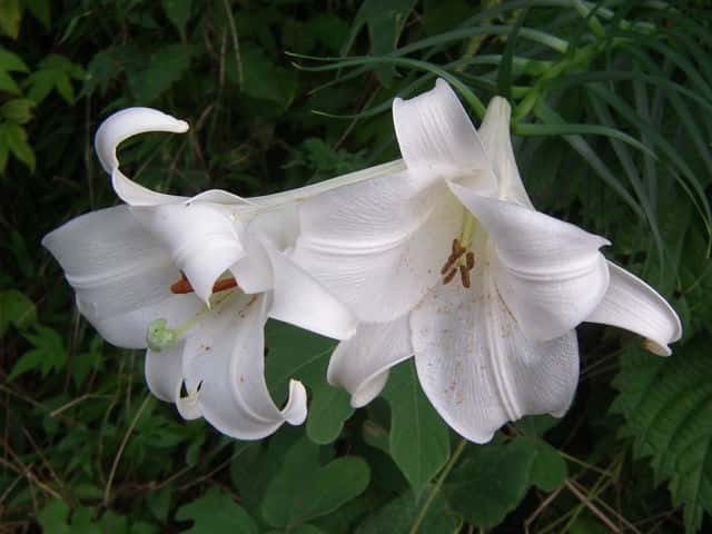 �^�J�T�S����