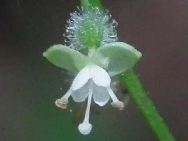 �~�Y�^�}�\�E