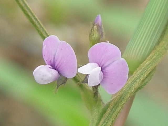 �c���}��