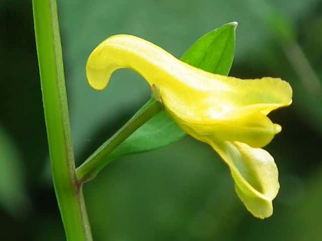 �i�K�~�m�c���P�}��